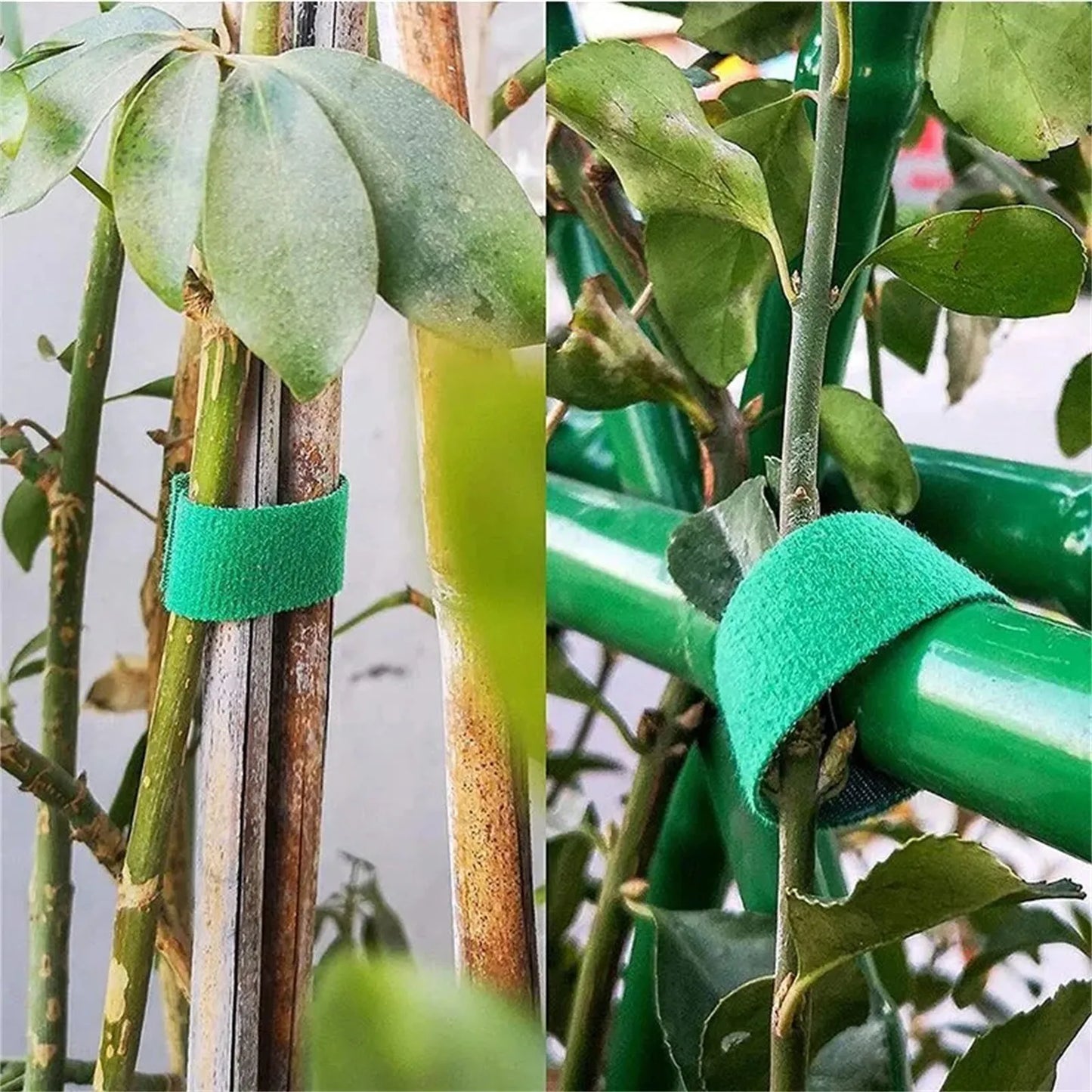3PCS Nylon Plant Bandage Green Plant Bundle Sugarcane Wrap Bracket Plant Bracket Garden Accessories Gardening Tools