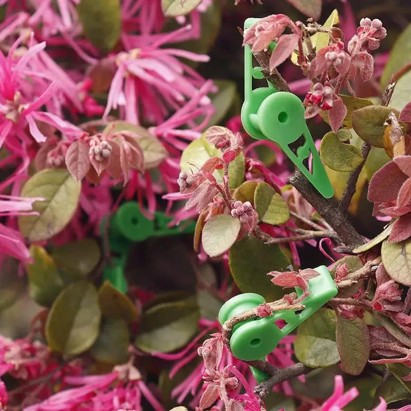 Bud Trainer Plant Training Clips Gardening Accessories 360 Degree Adjustable Plant Cages & Supports Structures Bud Bender