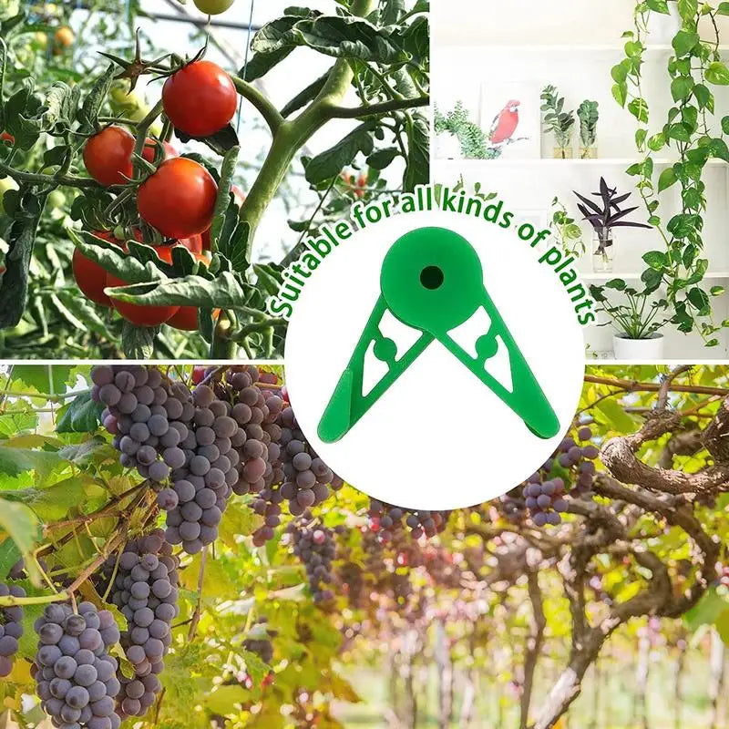 Bud Trainer Plant Training Clips Gardening Accessories 360 Degree Adjustable Plant Cages & Supports Structures Bud Bender