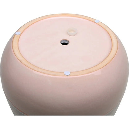 Ceramic Planter with Drainage Holes Indoor Outdoor Plants Succulents Flowers 10 Inch Decorative Pot