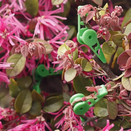 Bud Trainer Plant Training Clips Gardening Accessories 360 Degree Adjustable Plant Cages & Supports Structures Bud Bender